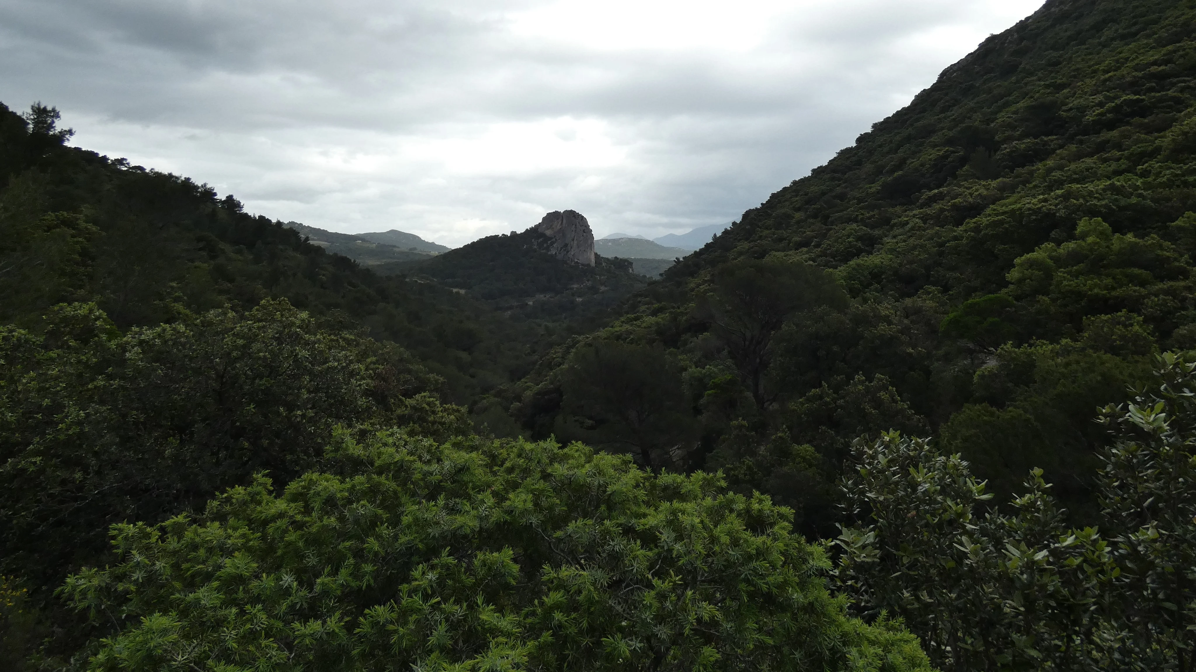 P1000304