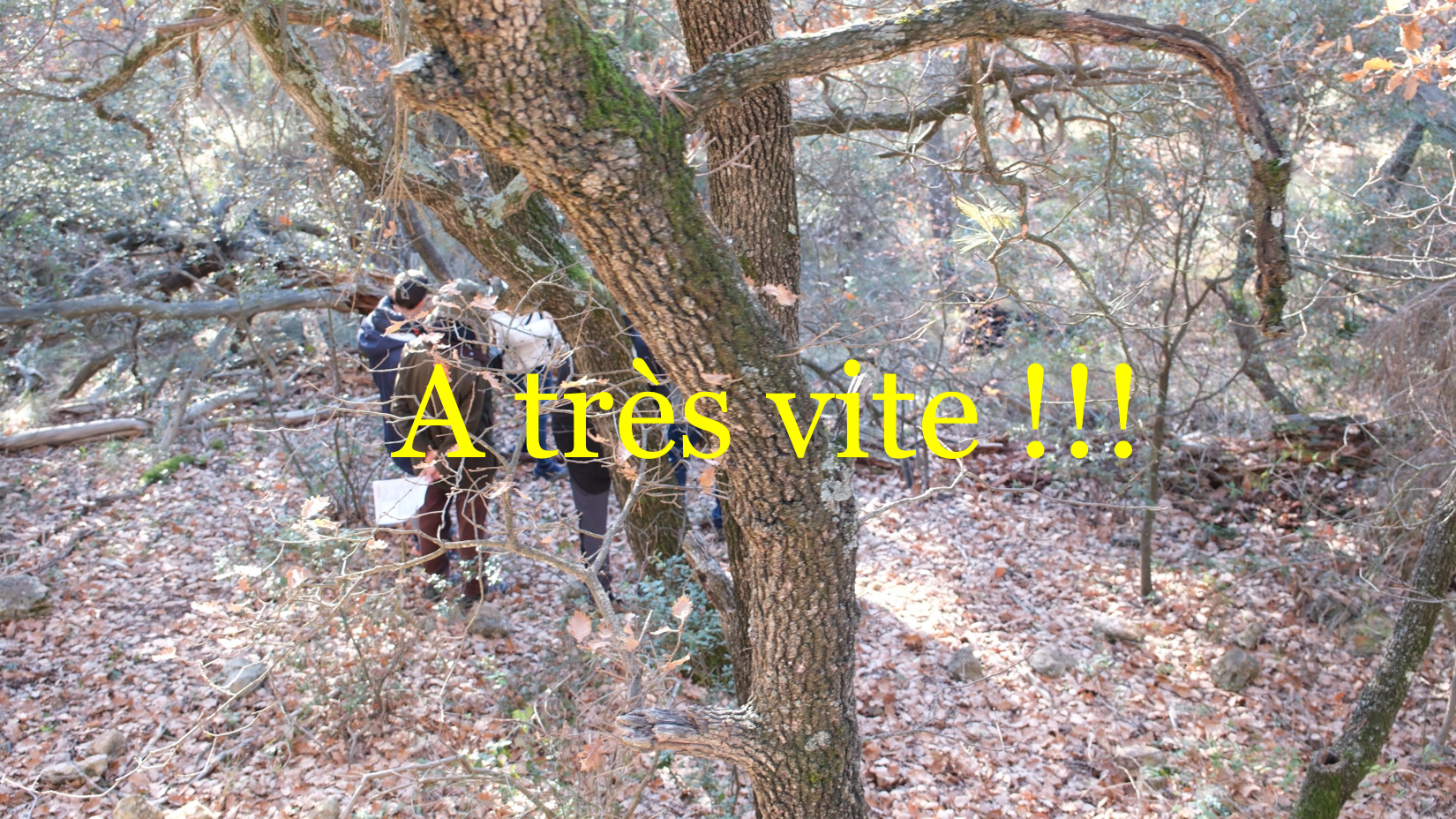 Atresvite