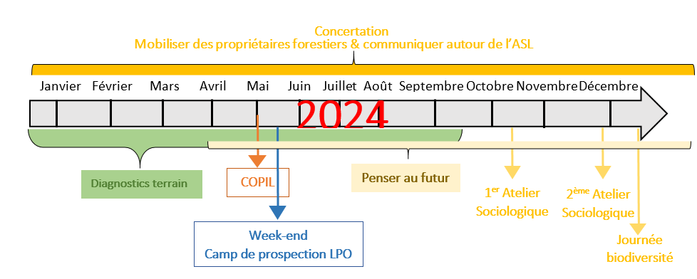 Capture d ecran 2025 02 06 093056