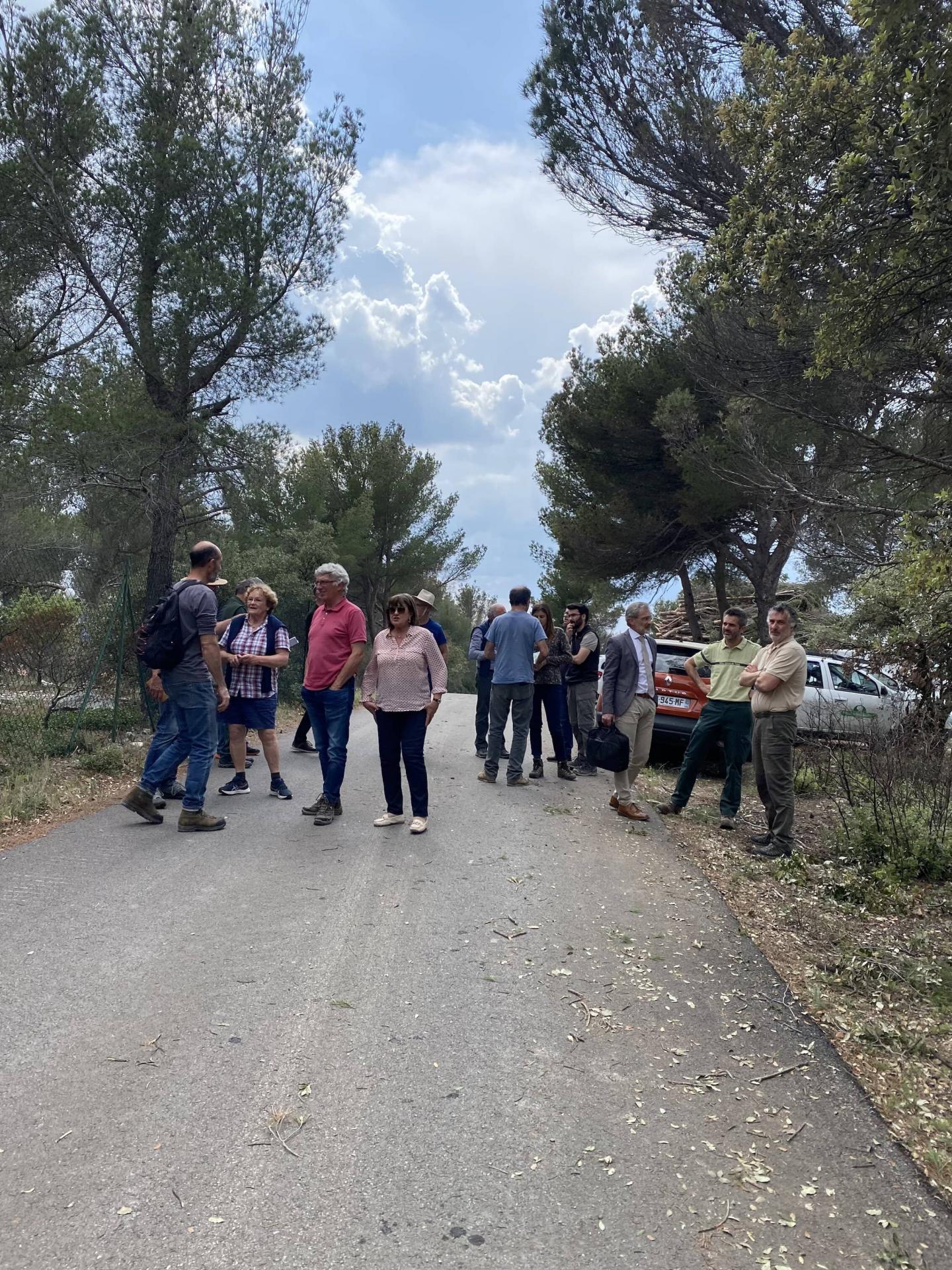 Converted img 1177